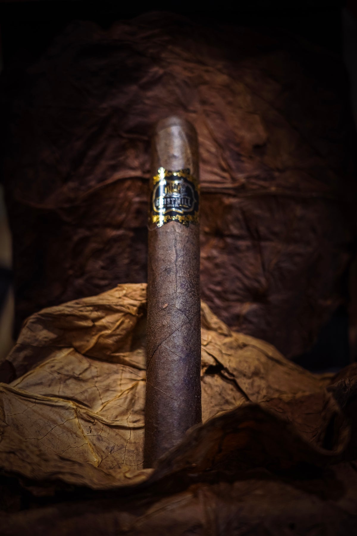 Maduro 7x60