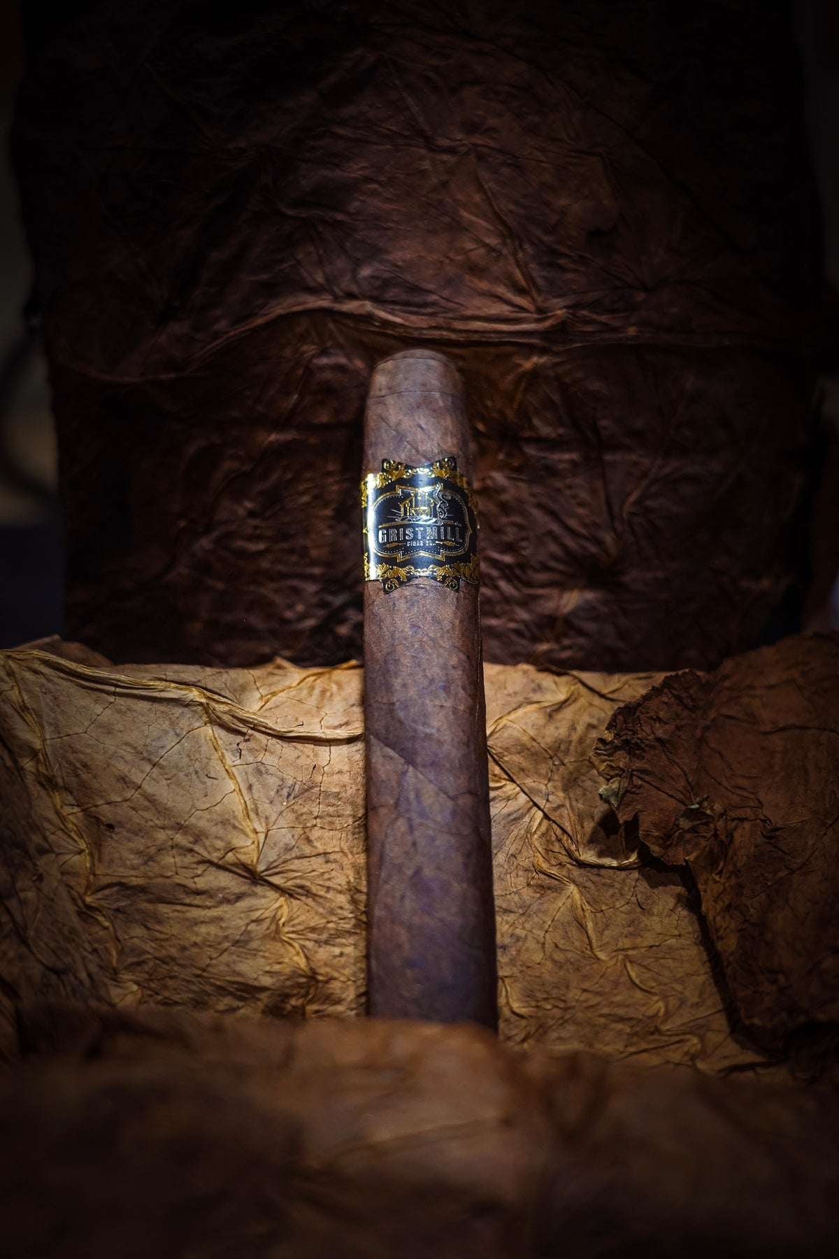 Maduro 6x60 Box Press