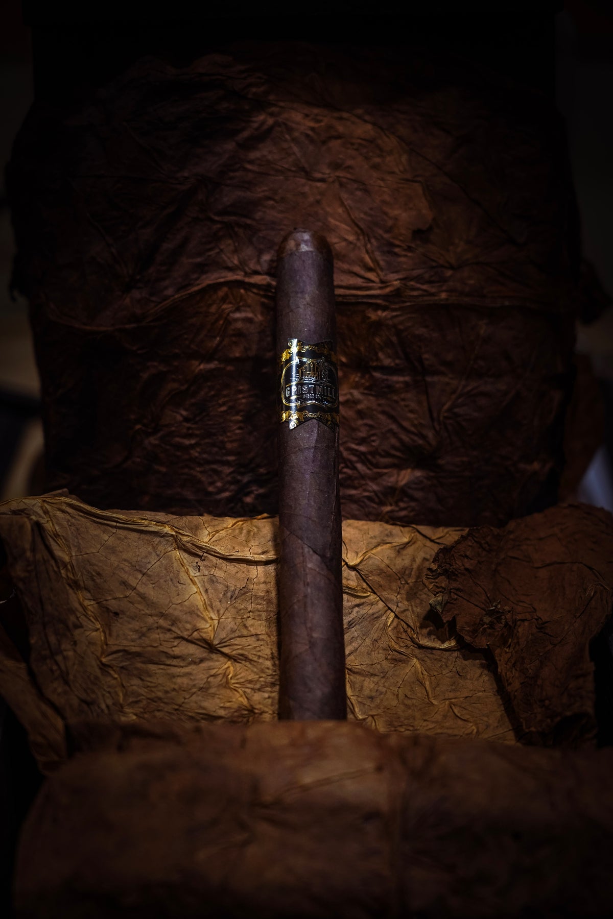 Maduro Churchill