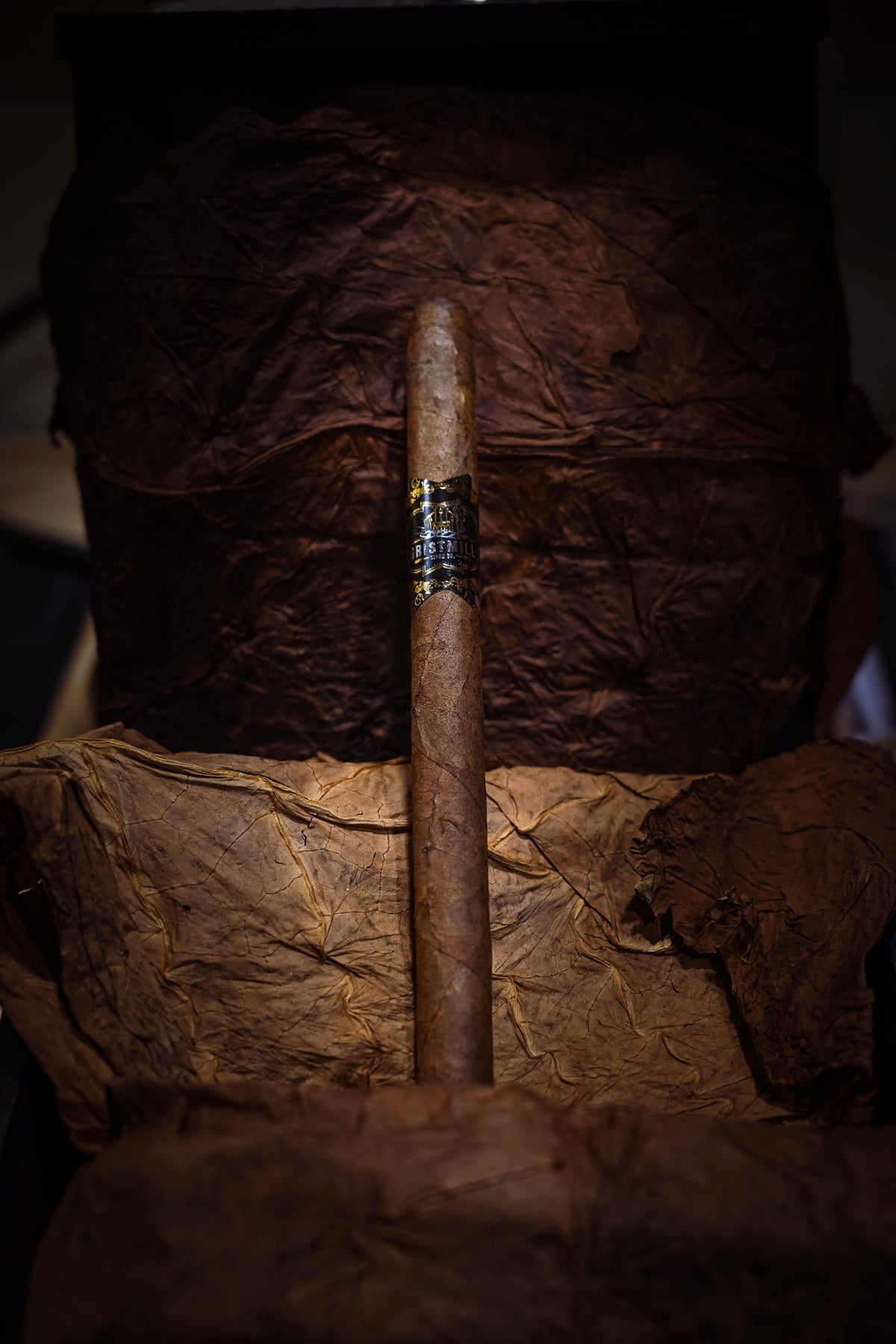 Maduro Lancero