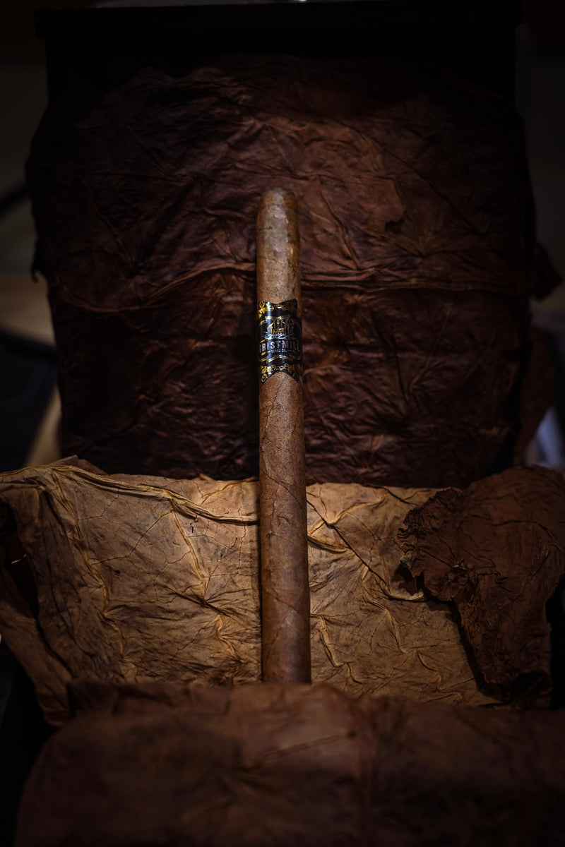 Maduro Lancero
