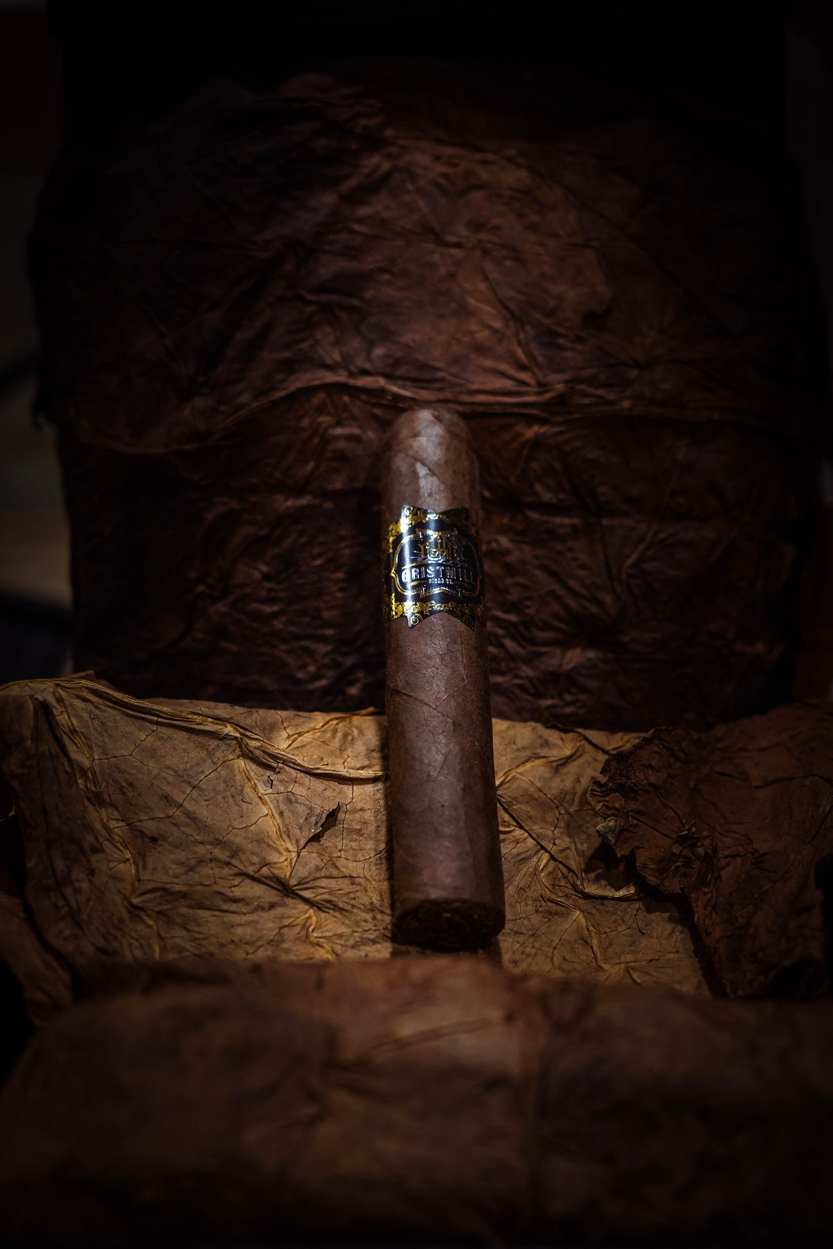 Maduro 5x60